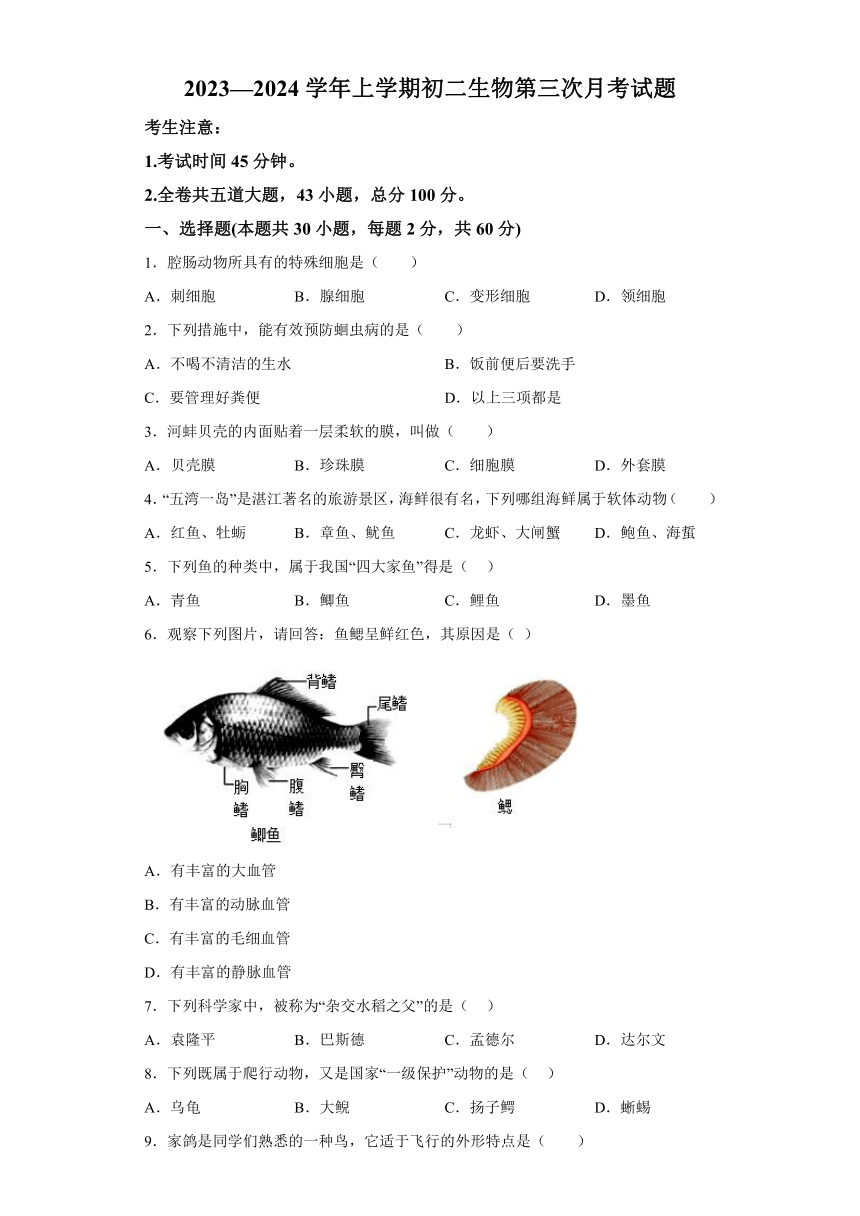 黑龙江省绥化市绥棱县克音河乡学校2023-2024学年七年级上学期月考生物试题（含解析）