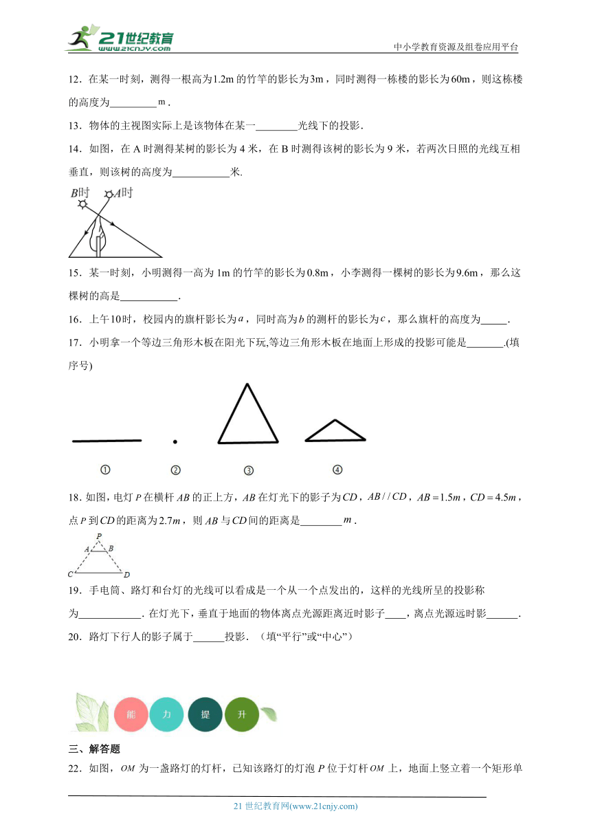 3.1 投影分层练习（含答案）