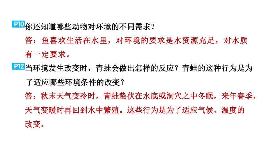 教科版科学五年级下册教材研讨问题参考答案  课件(共36张PPT)