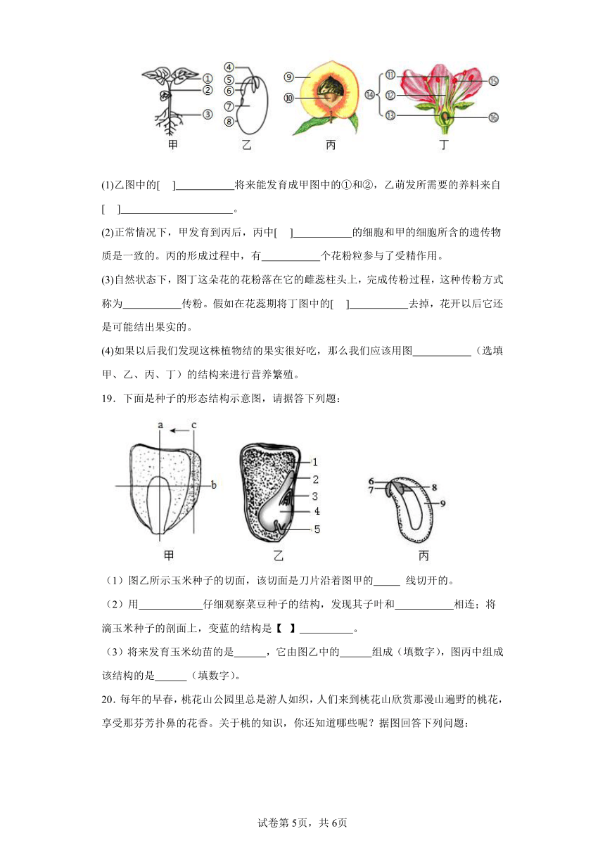 2023-2024学年初中生物苏科版八年级上册期末测试模拟卷2（答案+解析）