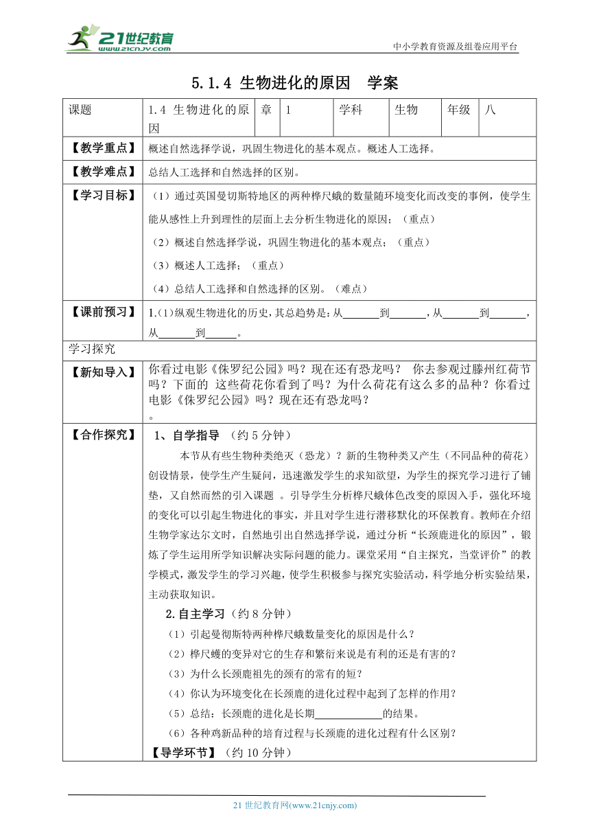 5.1.4 生物进化的原因-2023-2024学年八年级生物下册同步学案（济南版）（含答案）