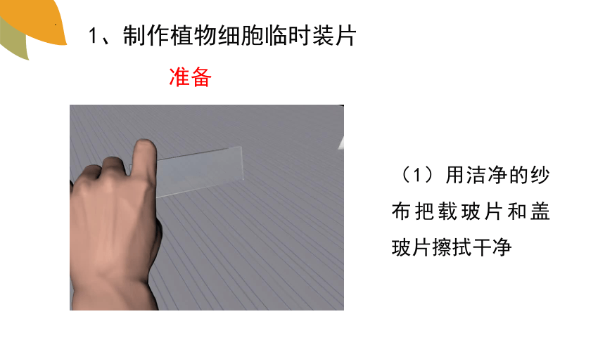 1.2.1细胞的结构和功能课件 (共37张PPT+内嵌视频7个)济南版生物七年级上册