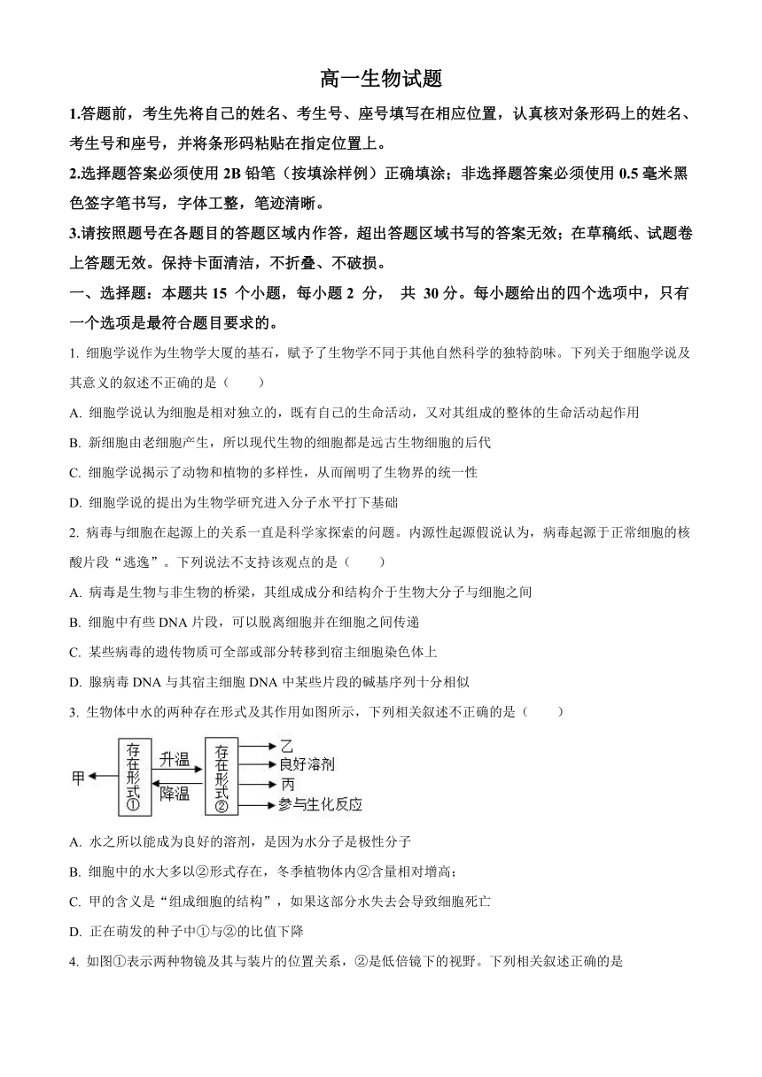 山东省泰安市肥城市2023-2024学年高一上学期期中考试生物（含解析）