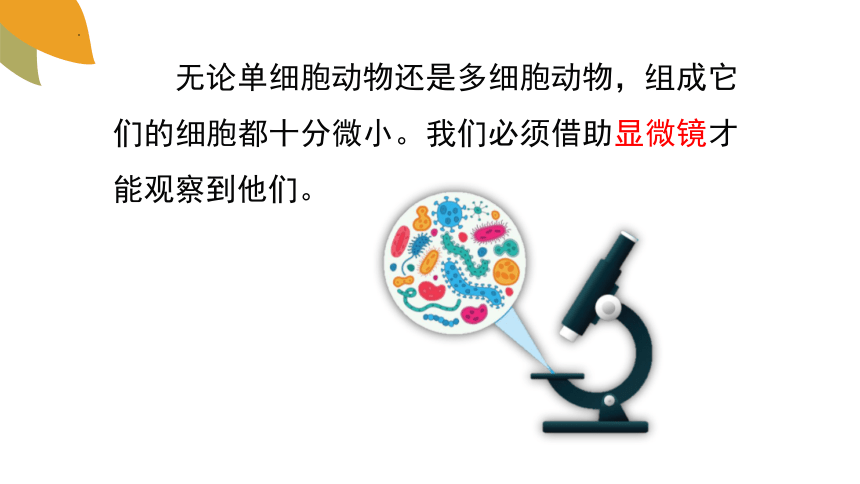 1.2.1细胞的结构和功能课件 (共37张PPT+内嵌视频7个)济南版生物七年级上册