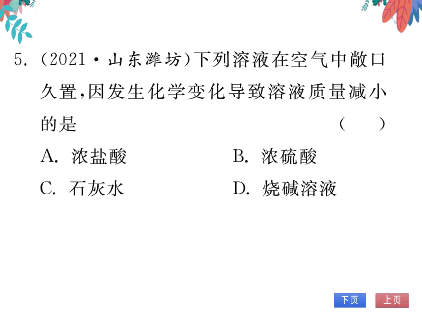 【同步精讲-习题课件】第十单元《酸和碱》课题1 第3课时 几种常见的碱 碱的化学性质-人教版化学九下