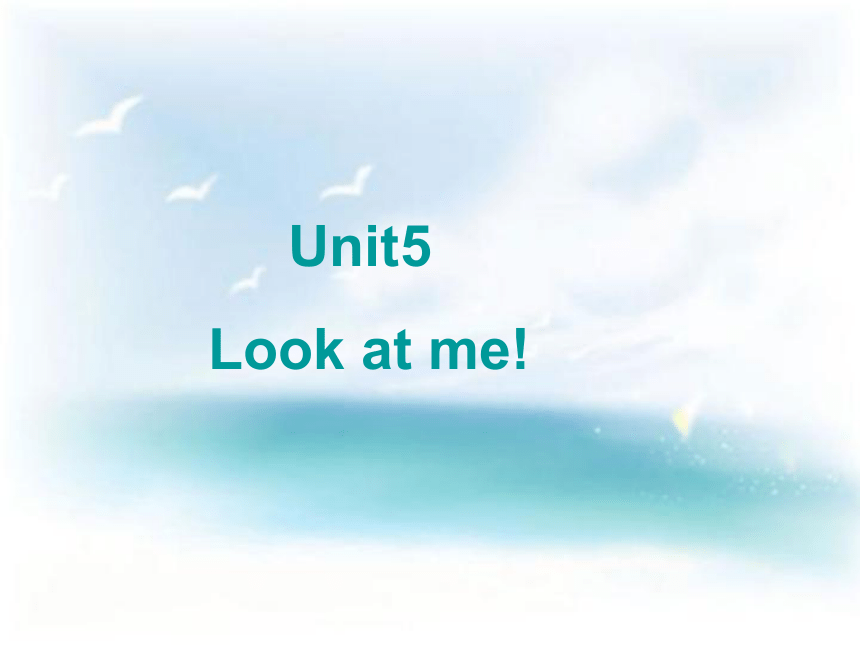 Unit 5 Look at me 课件