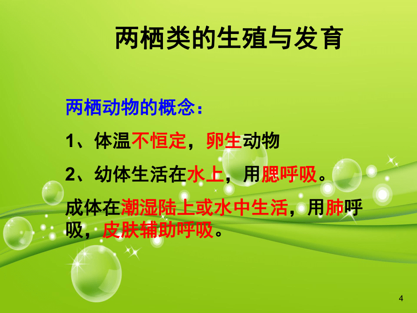 苏教版生物八年级下册21.4两栖类的生殖与发育 课件 (共23张PPT)