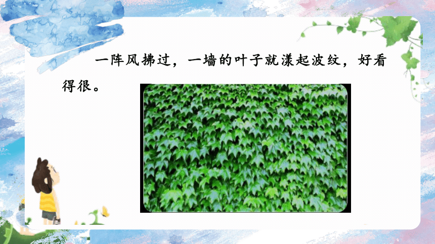 10《爬山虎的脚》  课件(共20张PPT)