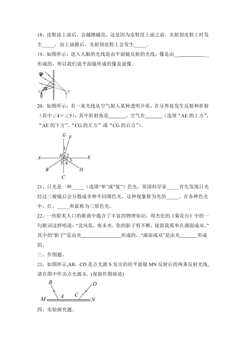 第4章 光现象 本章复习与测试（含答案）2023—2024学年人教物理八年级上册