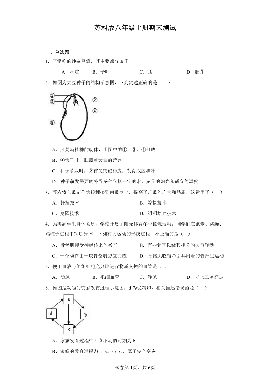 2023-2024学年初中生物苏科版八年级上册期末测试模拟卷（答案+解析）