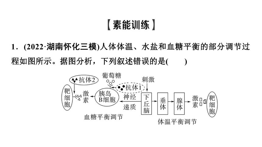 新人教高考生物学一轮复习素养加强课9　动物生命活动调节模型的建构与分析(课件共34张PPT)