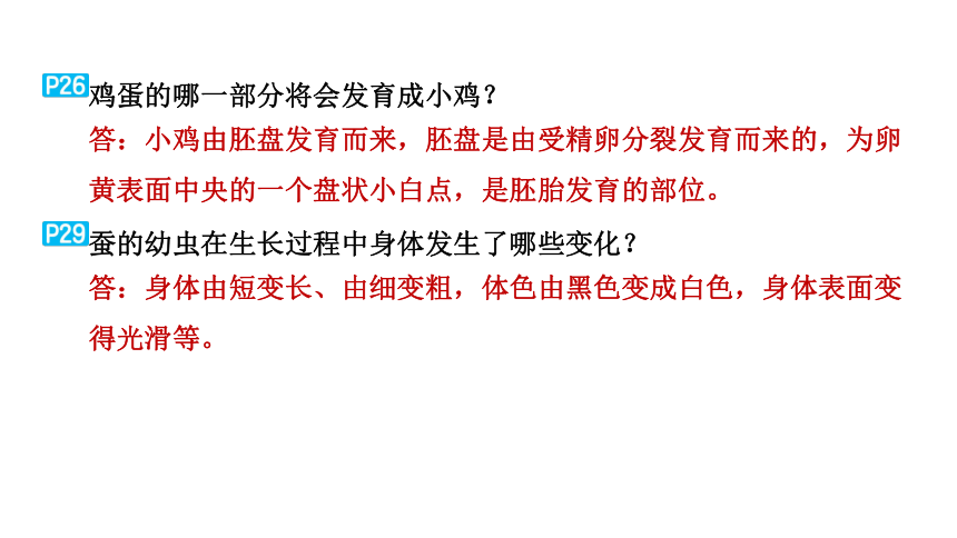 教科版科学三年级下册教材研讨问题参考答案  课件(共29张PPT)