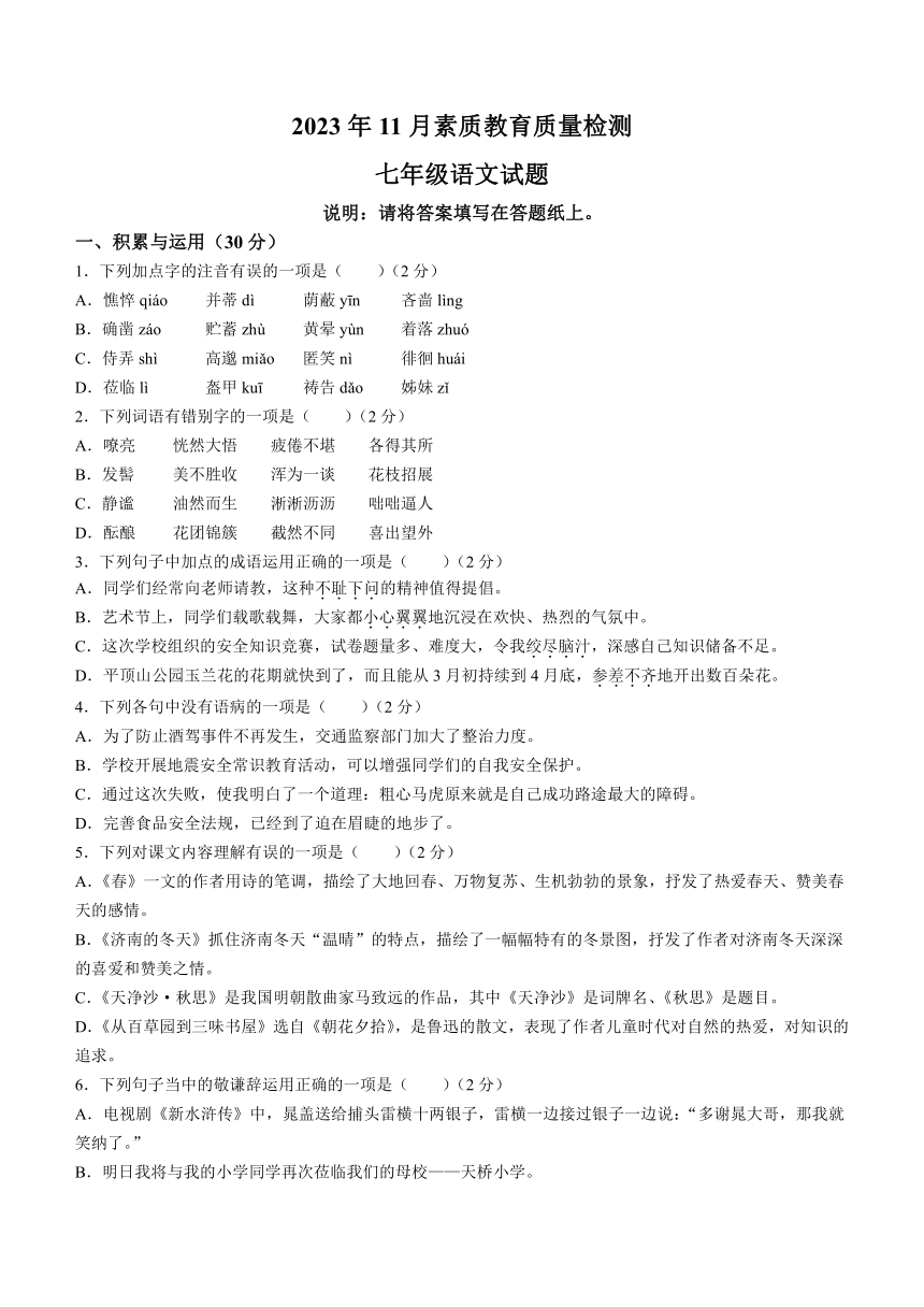山东省菏泽市曹县2023-2024学年七年级上学期期中语文试题（含答案）