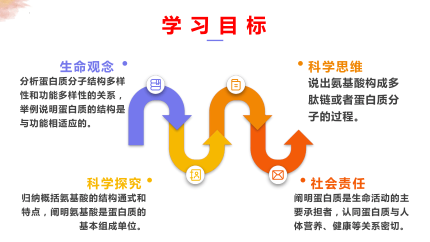 2.4 蛋白质是生命活动的承担者(第一课时含动态演示氨基酸的结构)(共25张PPT)-高一生物上册课件（人教版2019必修1）