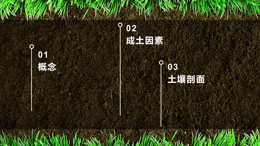 5.2土壤的形成 课件（共98张PPT）