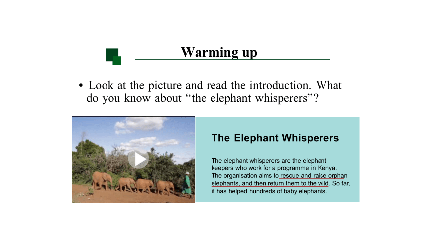 Unit 2 Wildlife Protection Video Time 课件（共22张PPT）高中英语 新人教版 必修二