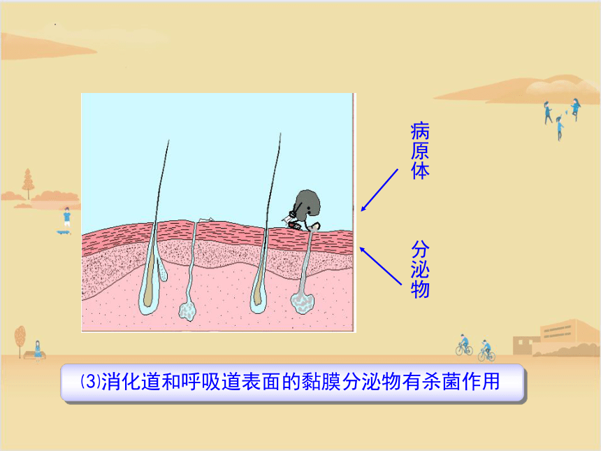 10.25.3免疫课件（共22张PPT）2022-2023年苏教版生物八年级下册