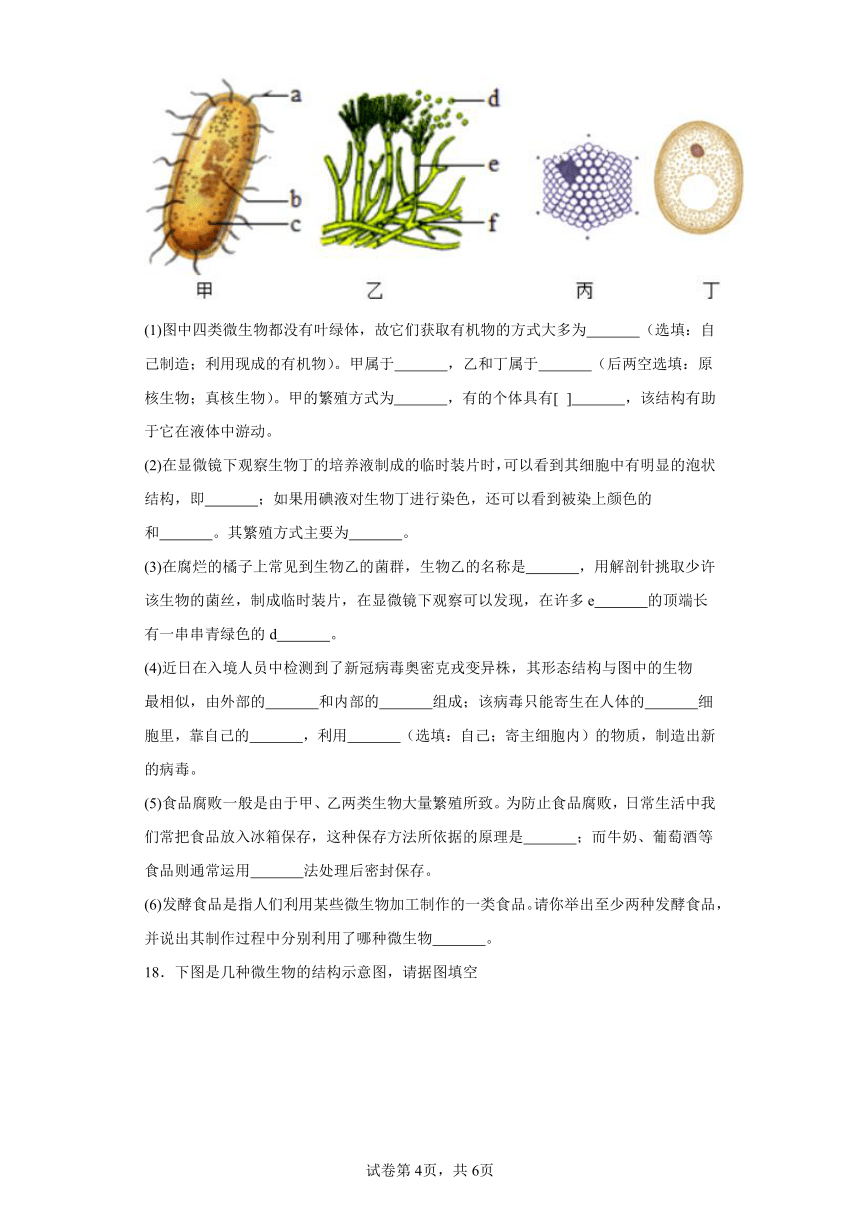 2023-2024学年初中生物北师大版八年级上册期末复习专题4生物圈中的微生物（答案+ 解析）