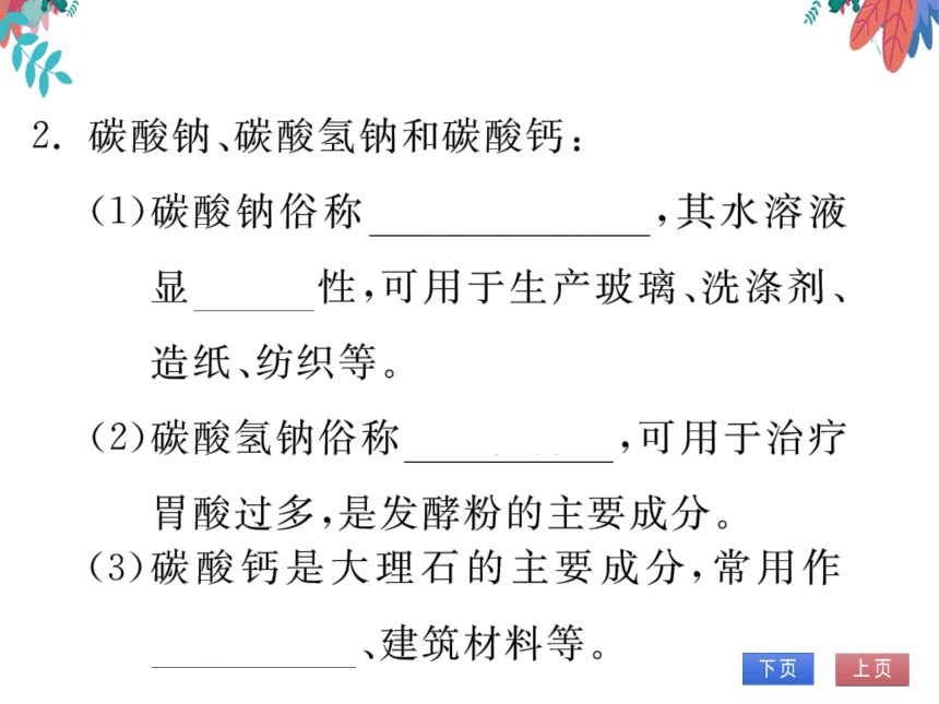 【同步精讲-习题课件】第十一单元《盐 化肥》单元复习与提升-人教版化学九下