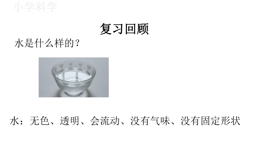 教科版（2017秋）一年级下册1.6它们去哪里了课件（17张PPT)