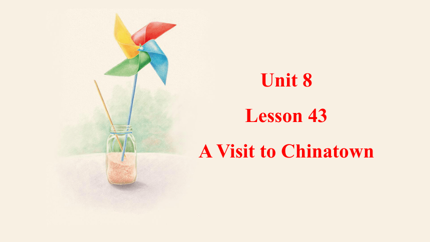 Unit 8 Lesson 43 A Visit to Chinatown  课件(共19张PPT)