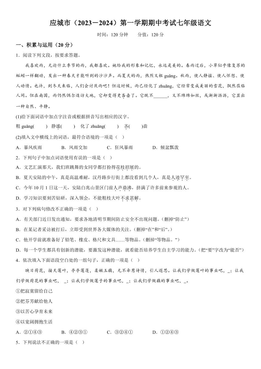 湖北省应城市2023-2024学年七年级上册期中考试语文试题（含解析）