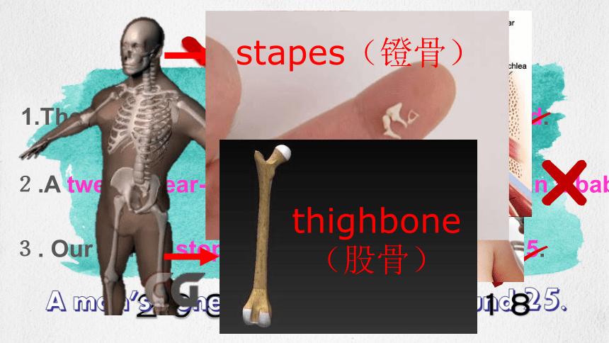 Unit 4 Healthy Living Lesson 12 Healthy Bones课件（21张）