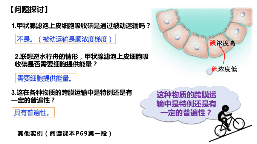 4.2 主动运输与胞吞、胞吐(共34张PPT4份视频)（课件）高一生物（人教版2019必修1）