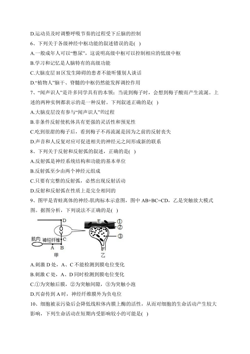 新疆和田地区民丰县多校2022-2023学年高二上学期期中联考生物试卷(含答案解析)