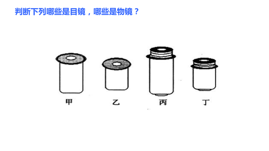 1.2 细胞的多样性和统一性-高一生物课件（共41张PPT）（人教版2019必修1）