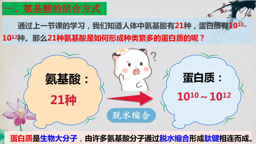 2.4 蛋白质是生命活动的主要承担者（第二课时）（42页PPT3份视频）高一生物课件（人教版2019必修1）