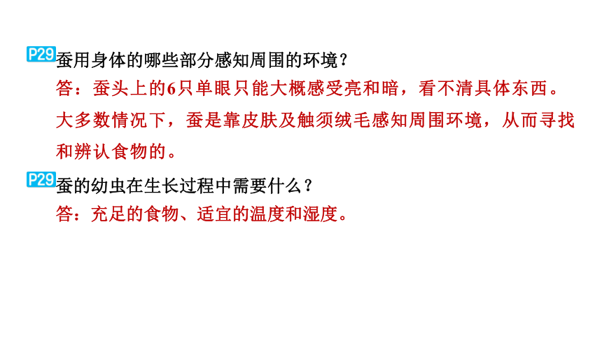 教科版科学三年级下册教材研讨问题参考答案  课件(共29张PPT)