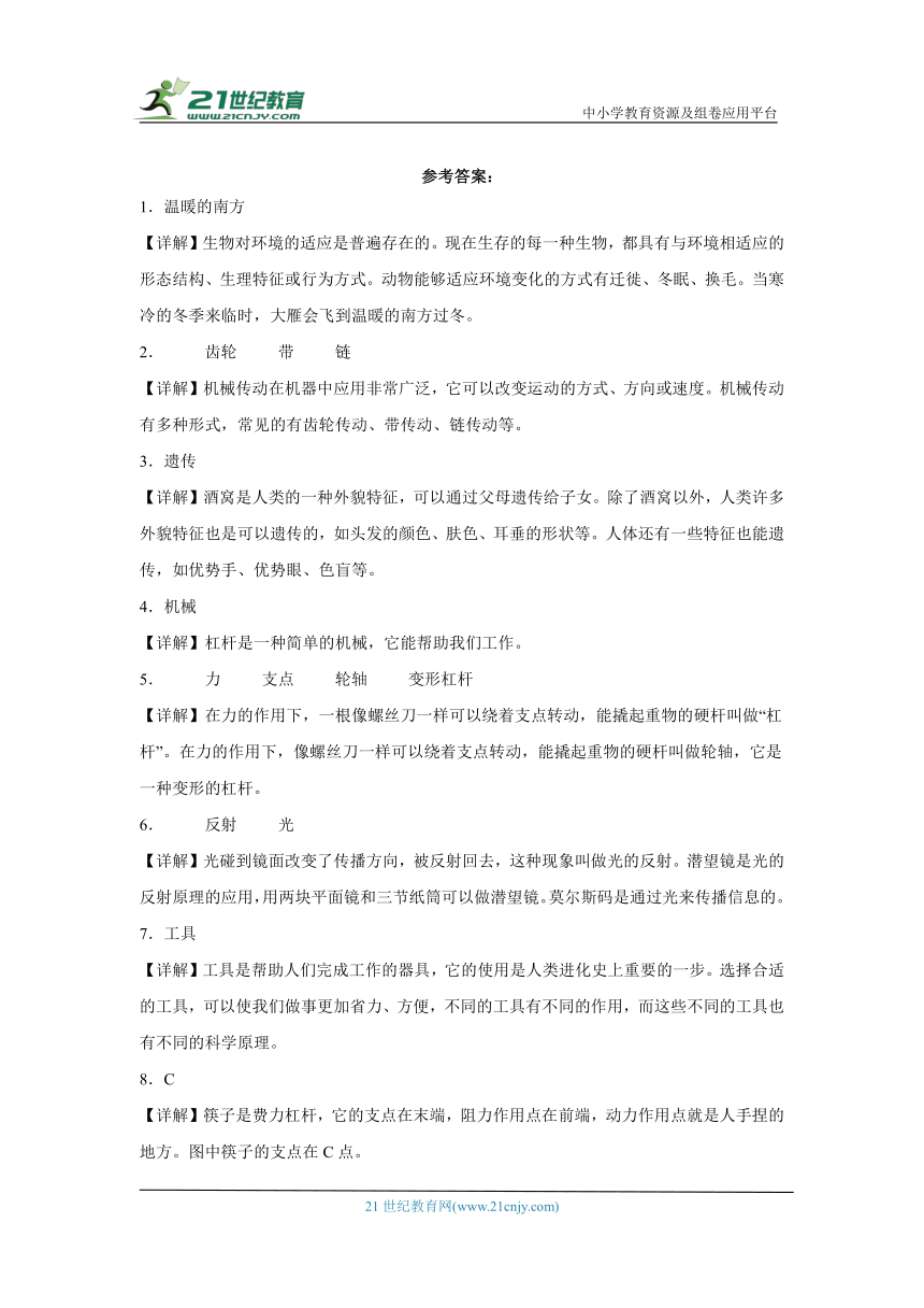 粤教版六年级上册科学期末填空题专题训练题（含答案解析）