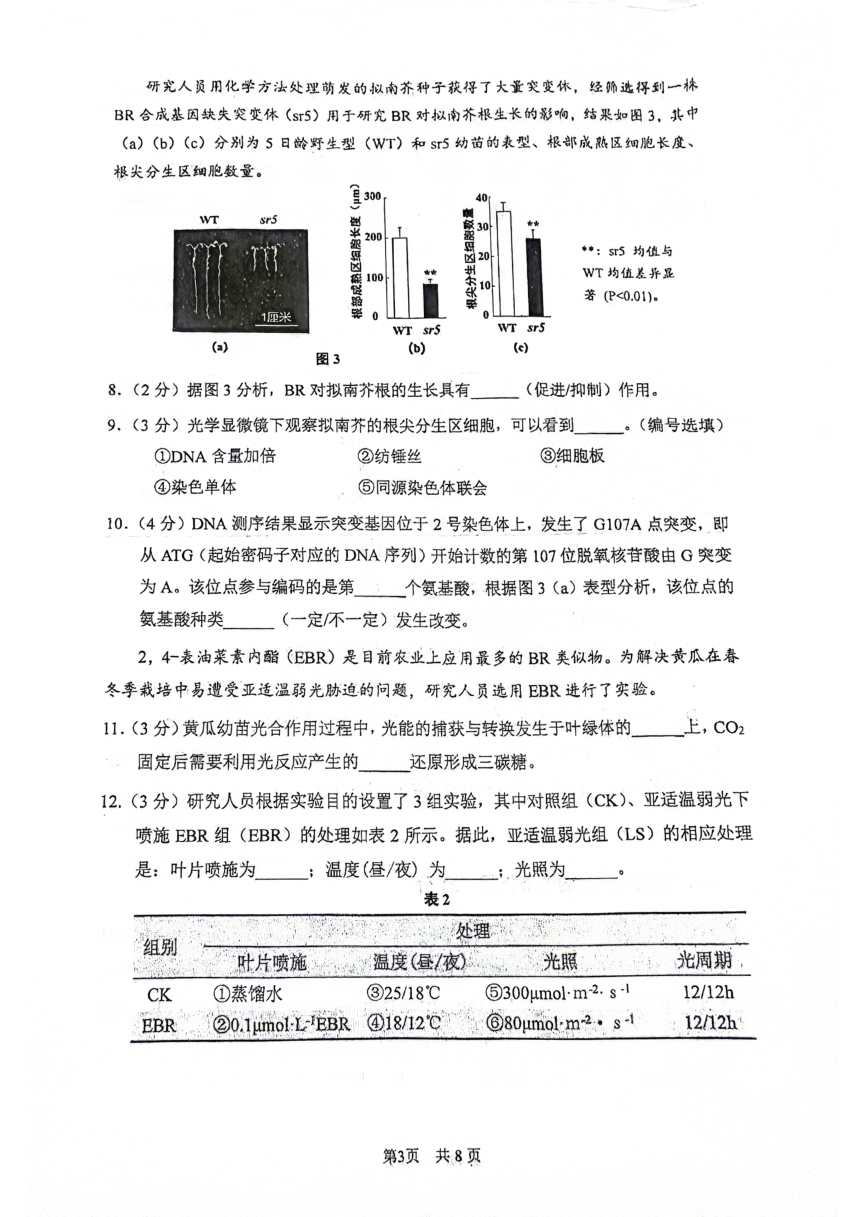 2024届上海市闵行区高三一模生物试卷（PDF版无答案）