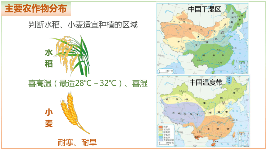 4.1.2 农业（课件）-2023-2024学年八年级地理上册同步优质课件（湘教版）（共26张PPT）