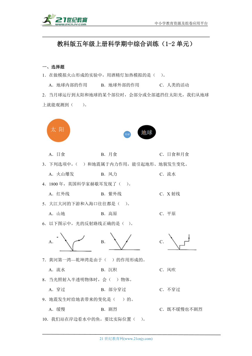 教科版五年级上册科学期中综合训练（1-2单元）（含答案解析）