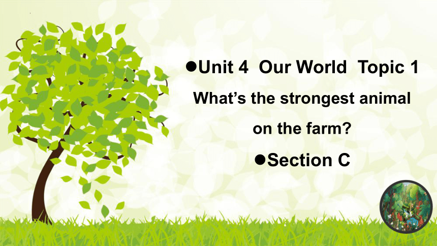 Unit 4  Our World  Topic 1 What’s the strongest animal on the farm？  Section C 课件(共23张PPT)