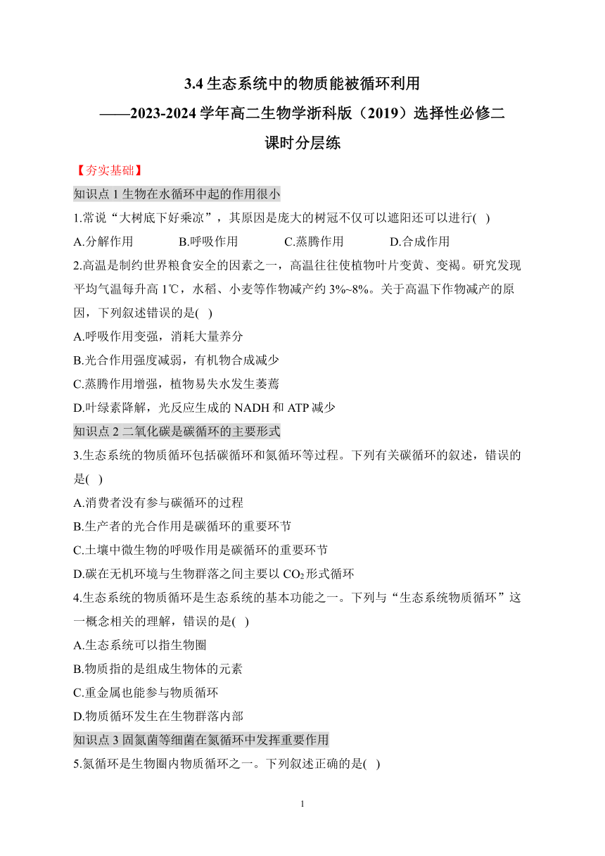 3.4生态系统中的物质能被循环利用（有解析）——2023-2024学年高二生物学浙科版（2019）选择性必修二课时分层练