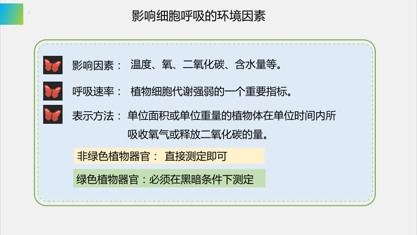 3.4 影响细胞呼吸的环境因素课件（第2课时）（共31张PPT)2023-2024学年高一上学期生物苏教版必修1