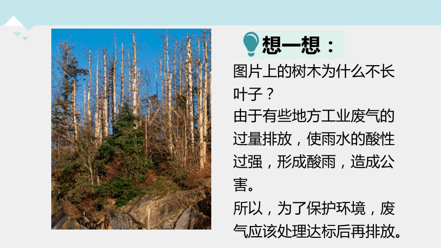 1.2 物质的酸碱性（第2课时）--2023-2024学年浙教版科学九年级上册（课件 17张ppt）