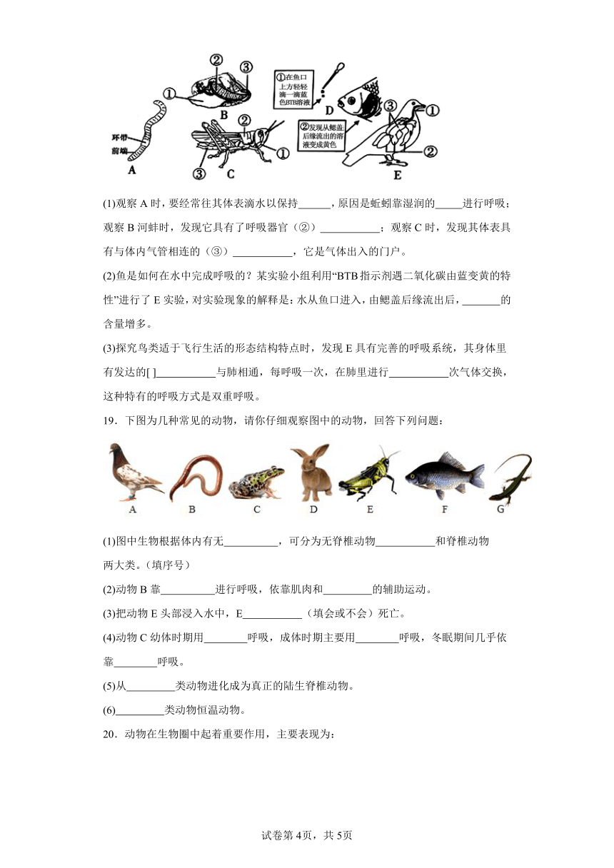 2023-2024学年初中生物苏教版八年级上册期末测试模拟卷（答案+解析）