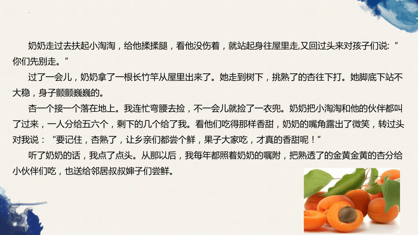 统编版语文四年级上册第五单元习作例文 我家的杏熟了  课件(共20张PPT)