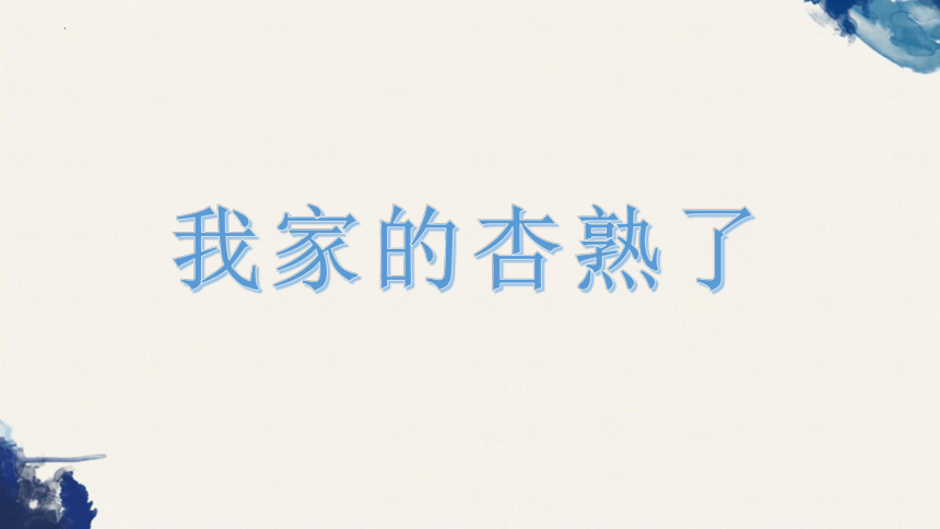 统编版语文四年级上册第五单元习作例文 我家的杏熟了  课件(共20张PPT)