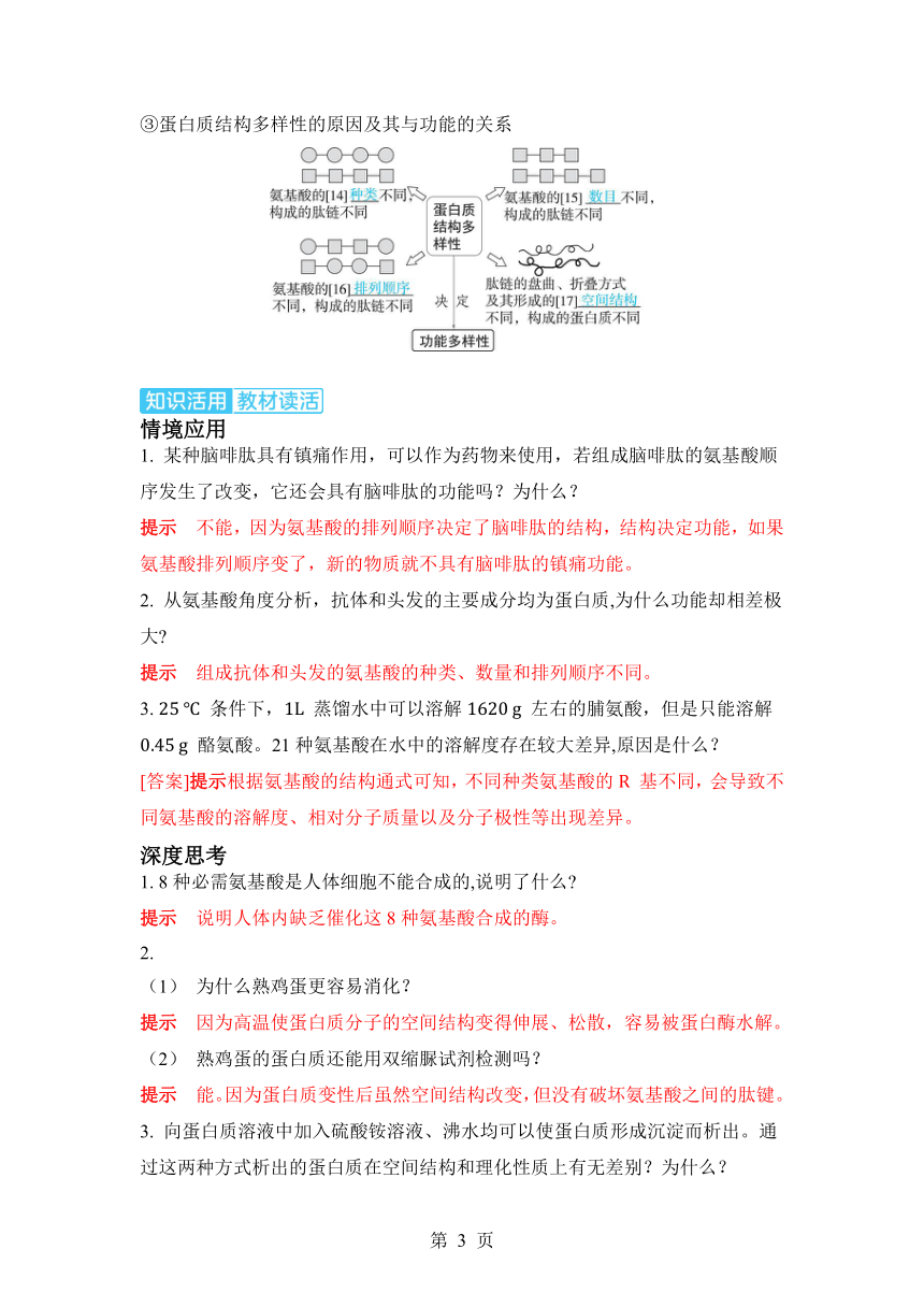 生物学高考备考学案：1-3 蛋白质和核酸（含答案）