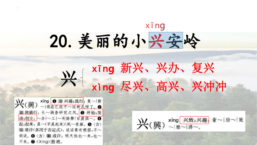 20.《美丽的小兴安岭》第一课时课件(共29张PPT)