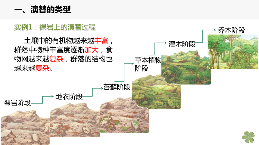 高中生物学人教版（2019）选择性必修2课件：2.3 群落的演替(共27张PPT)