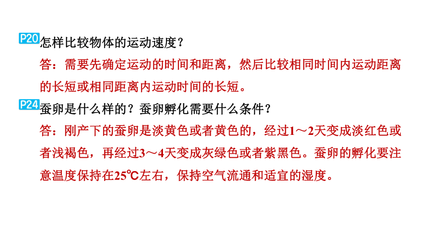 教科版科学三年级下册教材研讨问题参考答案  课件(共29张PPT)