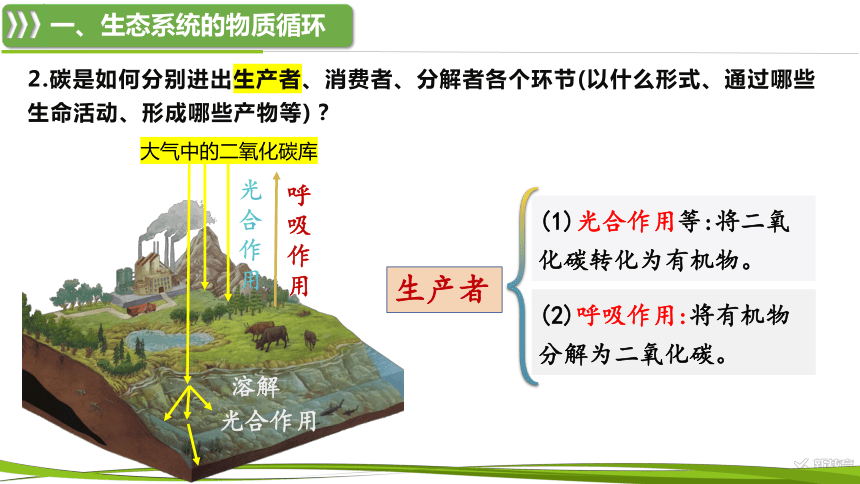 高中生物人教版（2019）选择性必修2课件：3.3.1 生态系统的物质循环及与能量流动的关系(共25张PPT)