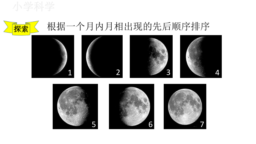 教科版（2017秋）三年级下册3.4月相变化的规律课件（17张PPT)