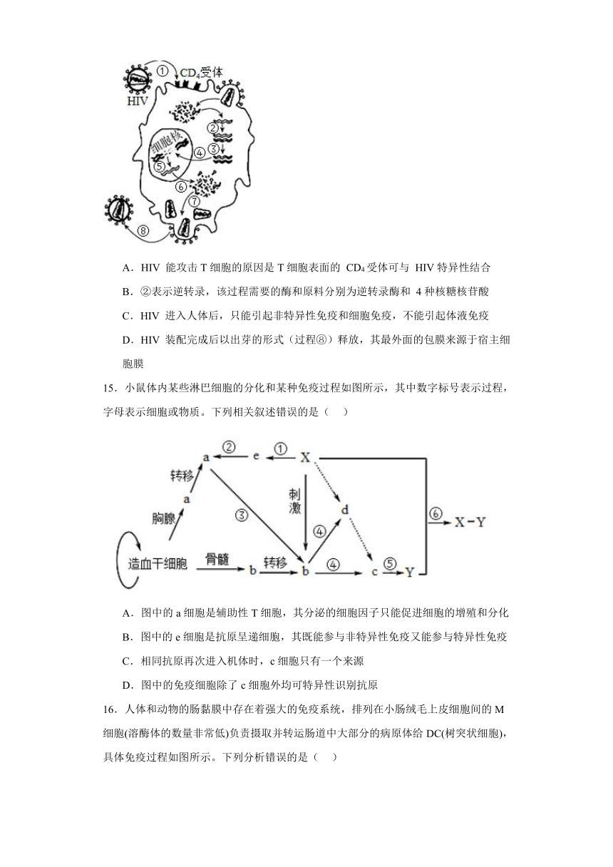 4.3特异性免疫 练习（含解析）